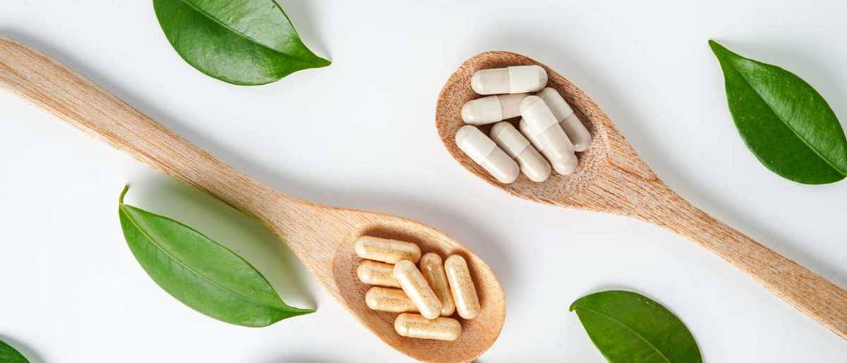 Suplimente bune pe bază de Bacopa Monnieri în 2026